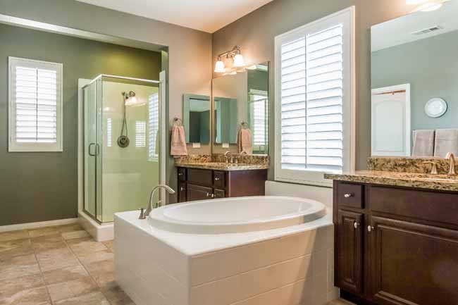 Master Bathroom Suite