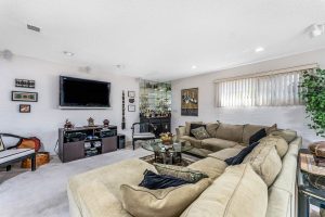 family room with couch and tv