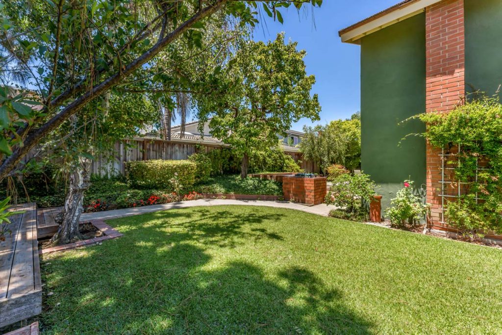 view of backyard lawn