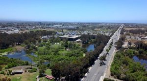 aerial view of park, pond and library