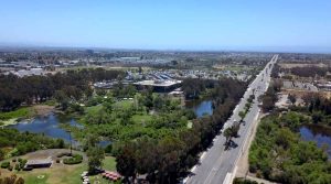 Aerial view of road, trees and buildings.