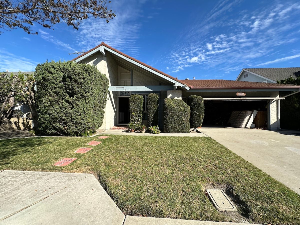 Before photo of a white house with large trees out front. The windows are hidden, making the house look small with overgrown trees. 