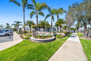 Common grounds in townhouse community showing sidewalks, grass, planters and palm trees.
