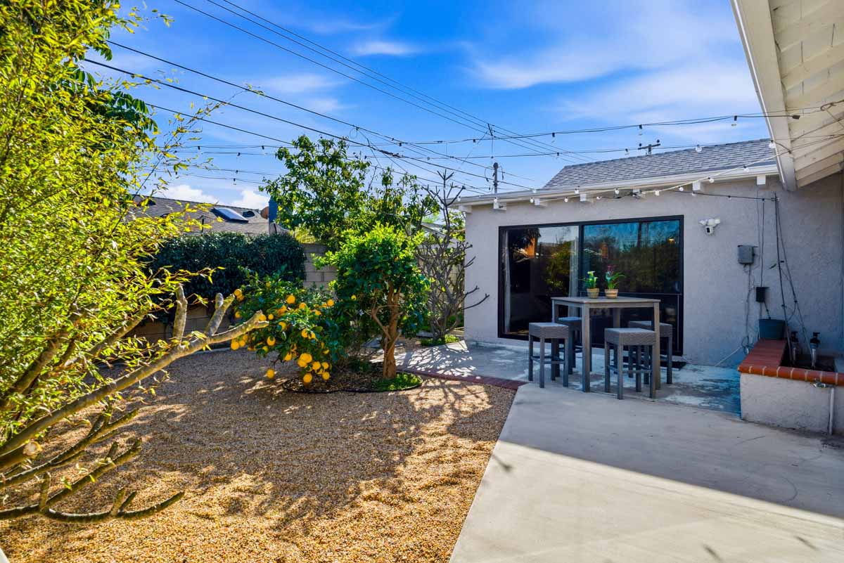 Backyard space with lemon trees, a small seating area, and hanging lights strung across the yard.