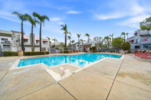 Community pool with large palm trees surrounding it.