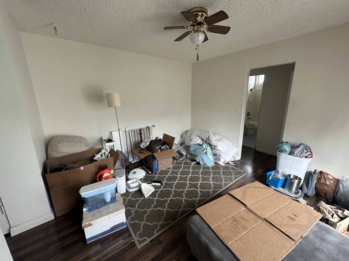 A cluttered living space with a rug, lamp, boxes and bags.